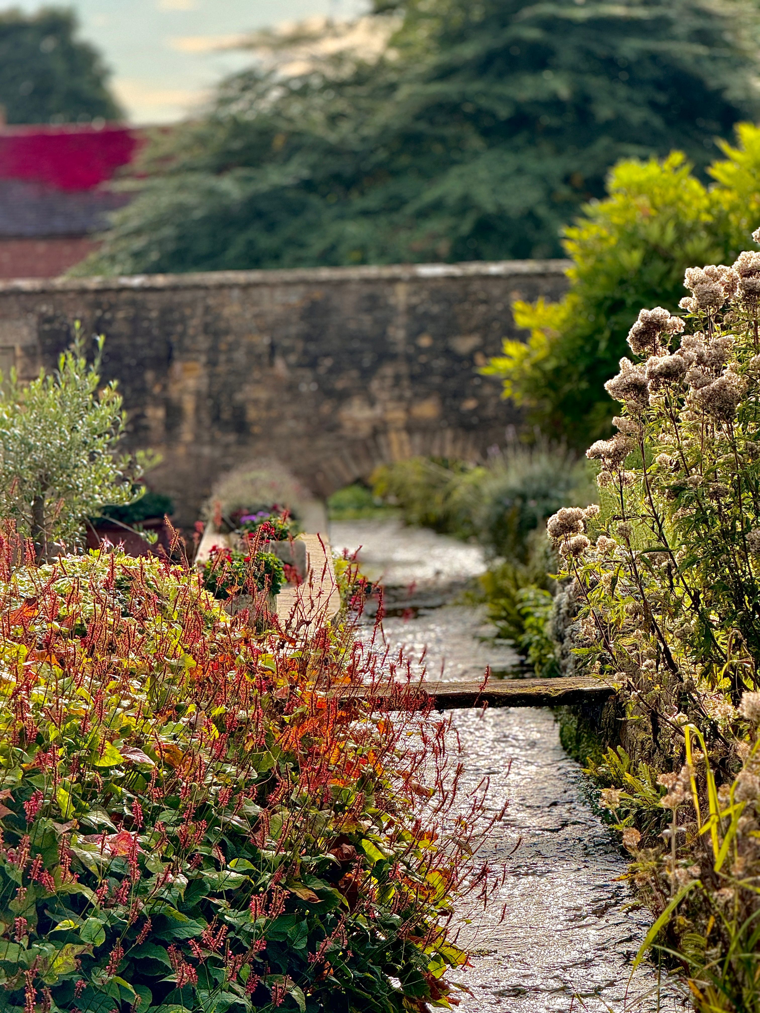 Jardin de Suzanne