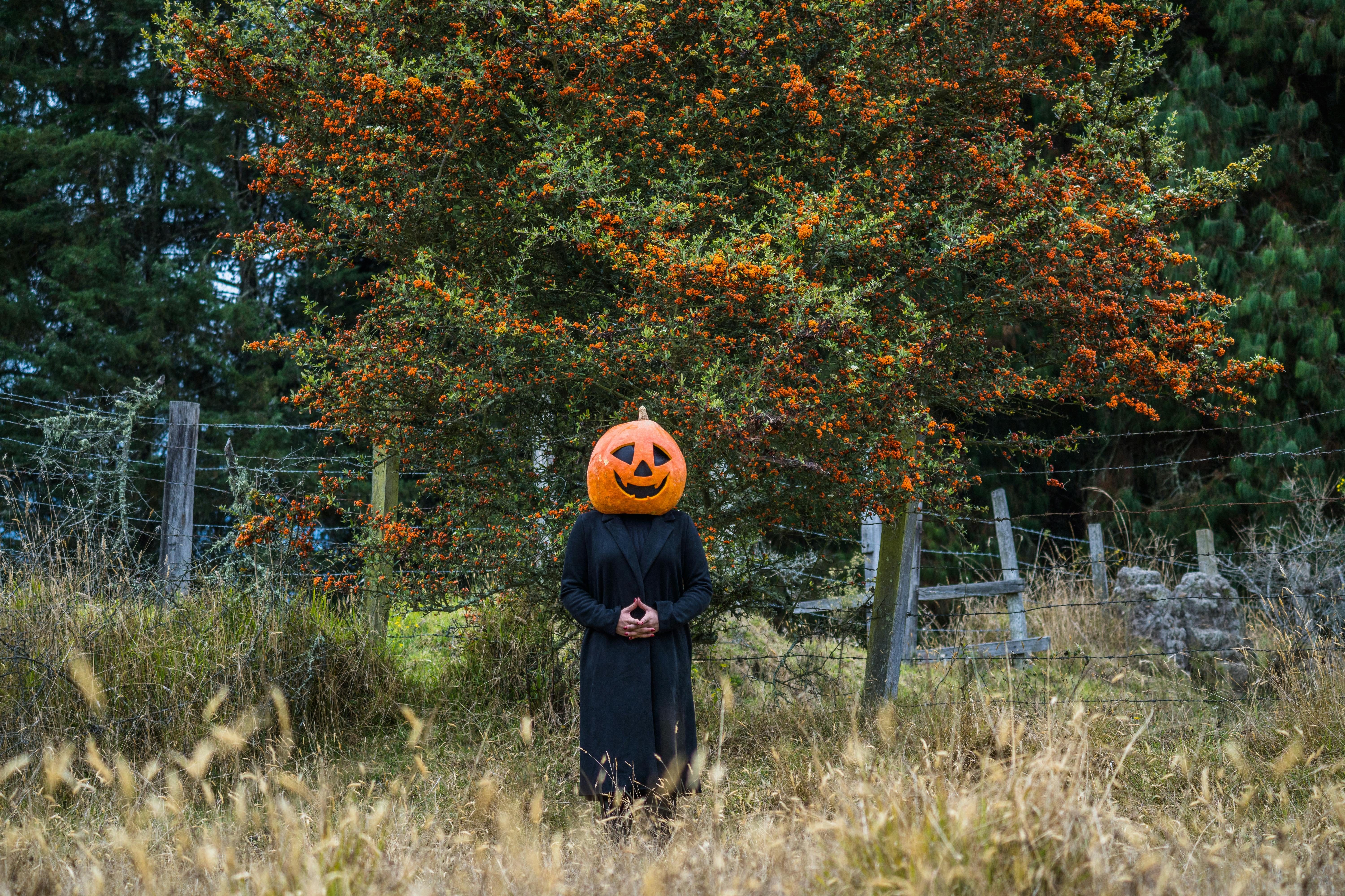 Jason Peter Kennedy Photo (October 18, 2016)