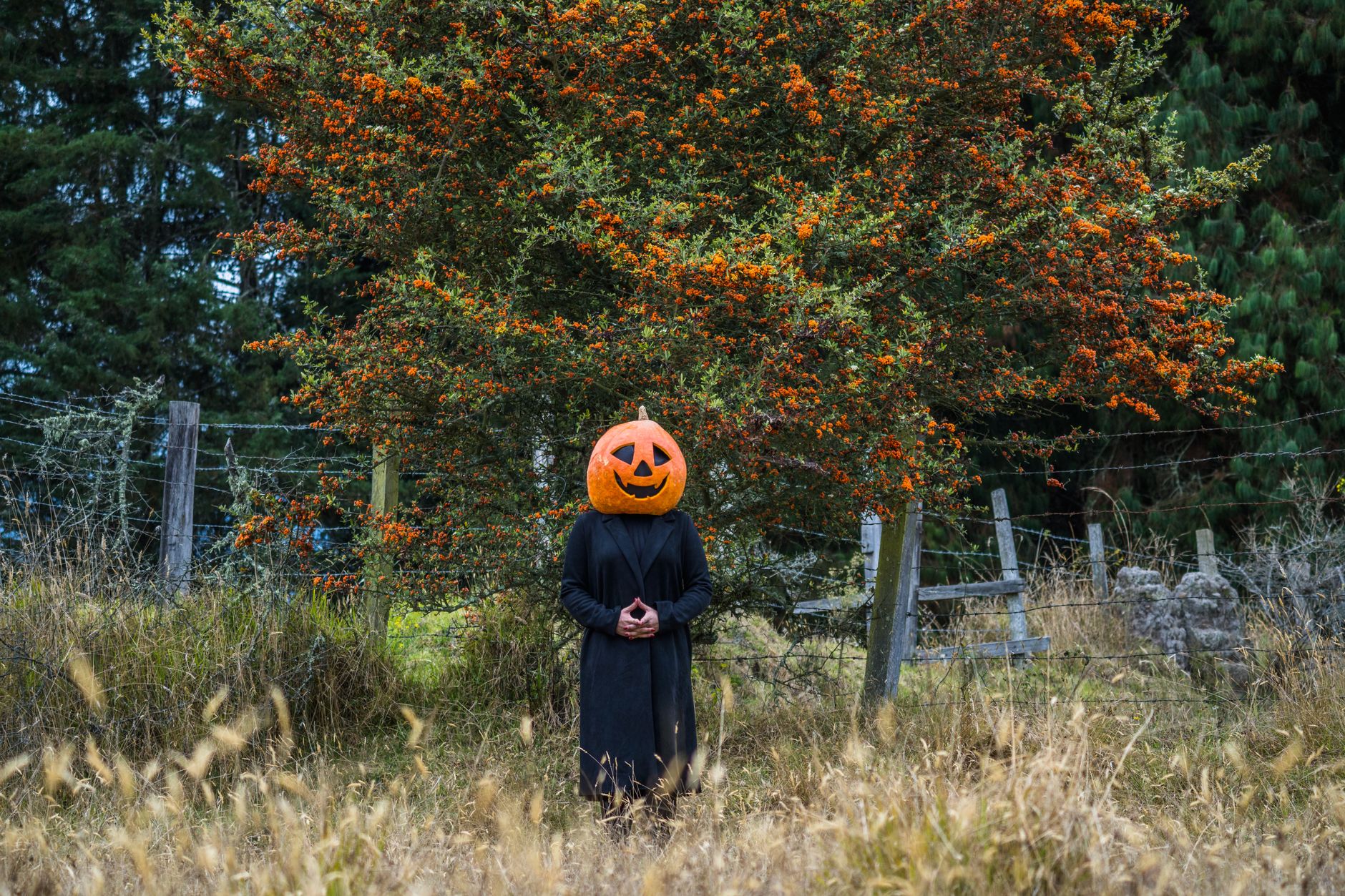 Jason Peter Kennedy Photo (October 18, 2016)
