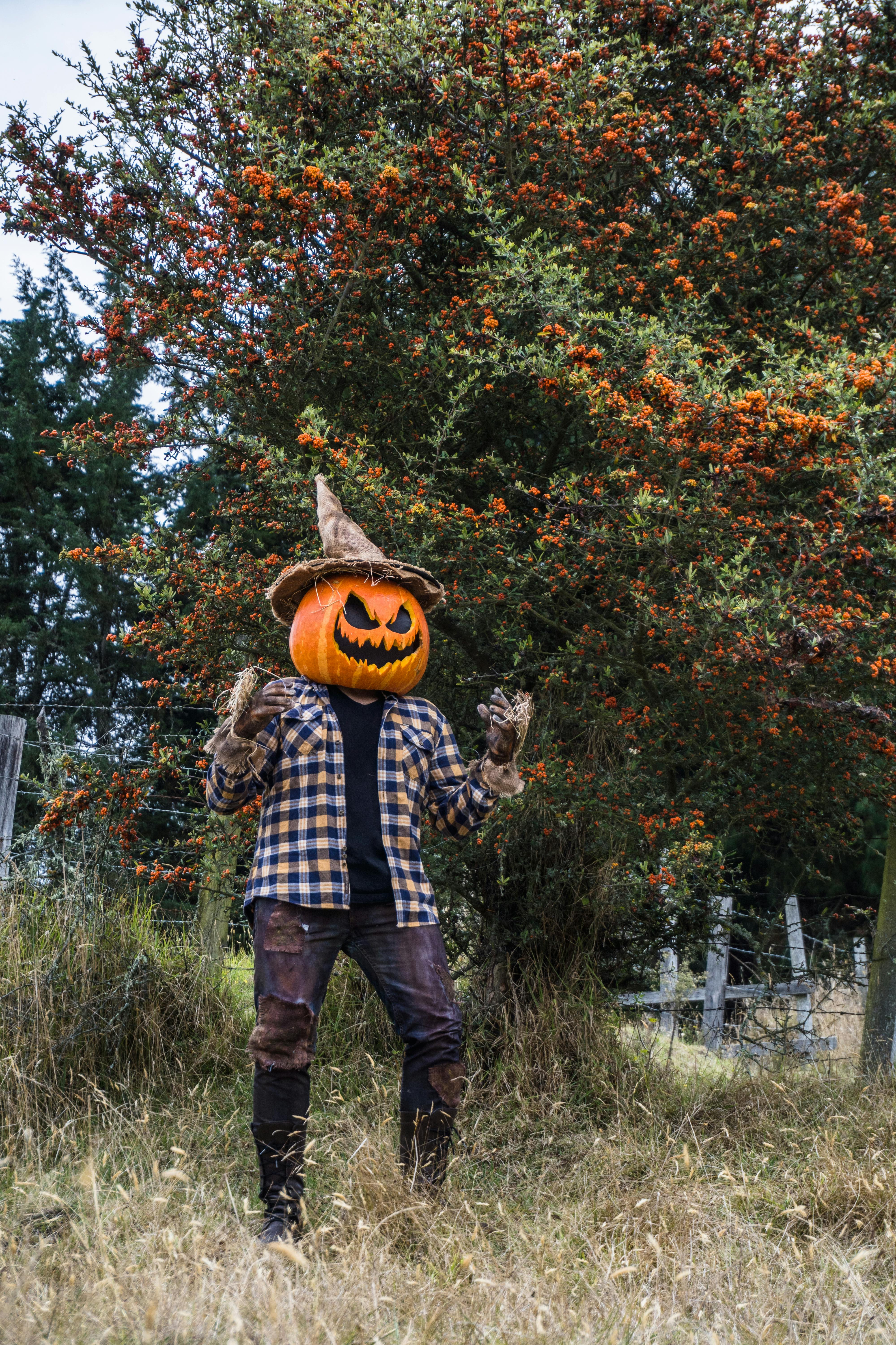 A spooky costumed performer with a pumpkin head in a scenic outdoor setting in Guasca, Colombia.