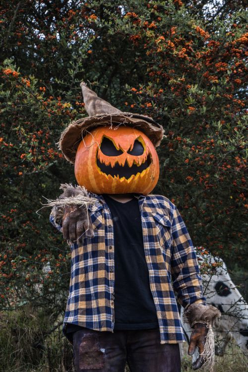 Free A person wearing a pumpkin head costume poses outdoors in nature, perfect for Halloween themes. Stock Photo