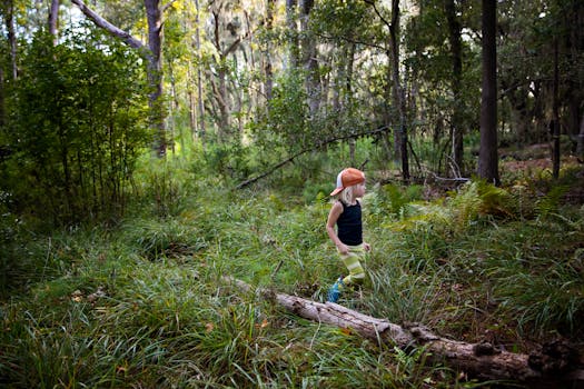 一个年幼的孩子正在希尔顿黑德岛郁郁葱葱的森林里探索，享受大自然的美丽