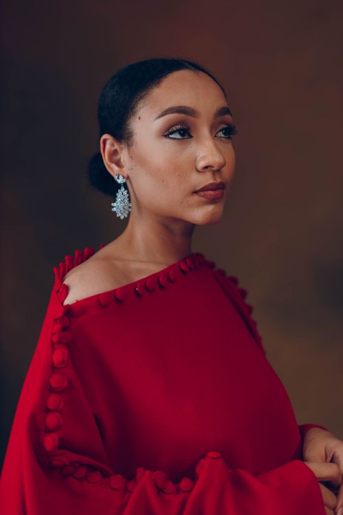 Free A striking image of a woman in a red Nigerian dress with elegant makeup and earrings. Stock Photo