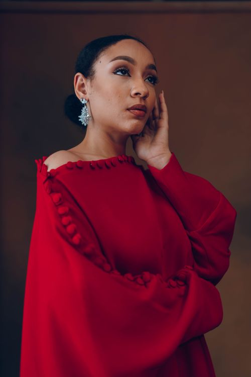 Free Portrait of a Nigerian woman in a stylish red dress with makeup and jewelry. Stock Photo