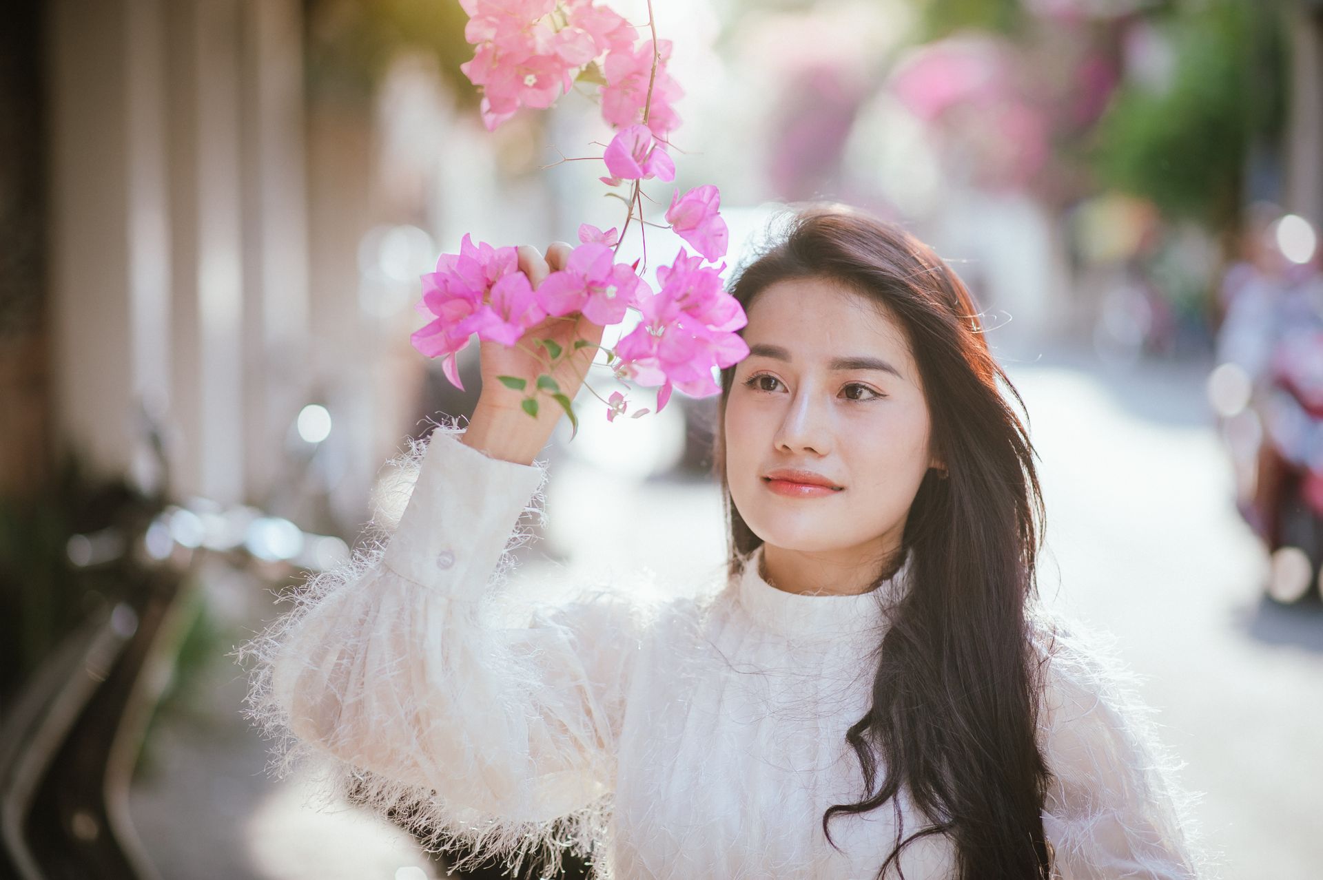 Free stock photo of hoa giấy, portrait, vietnam