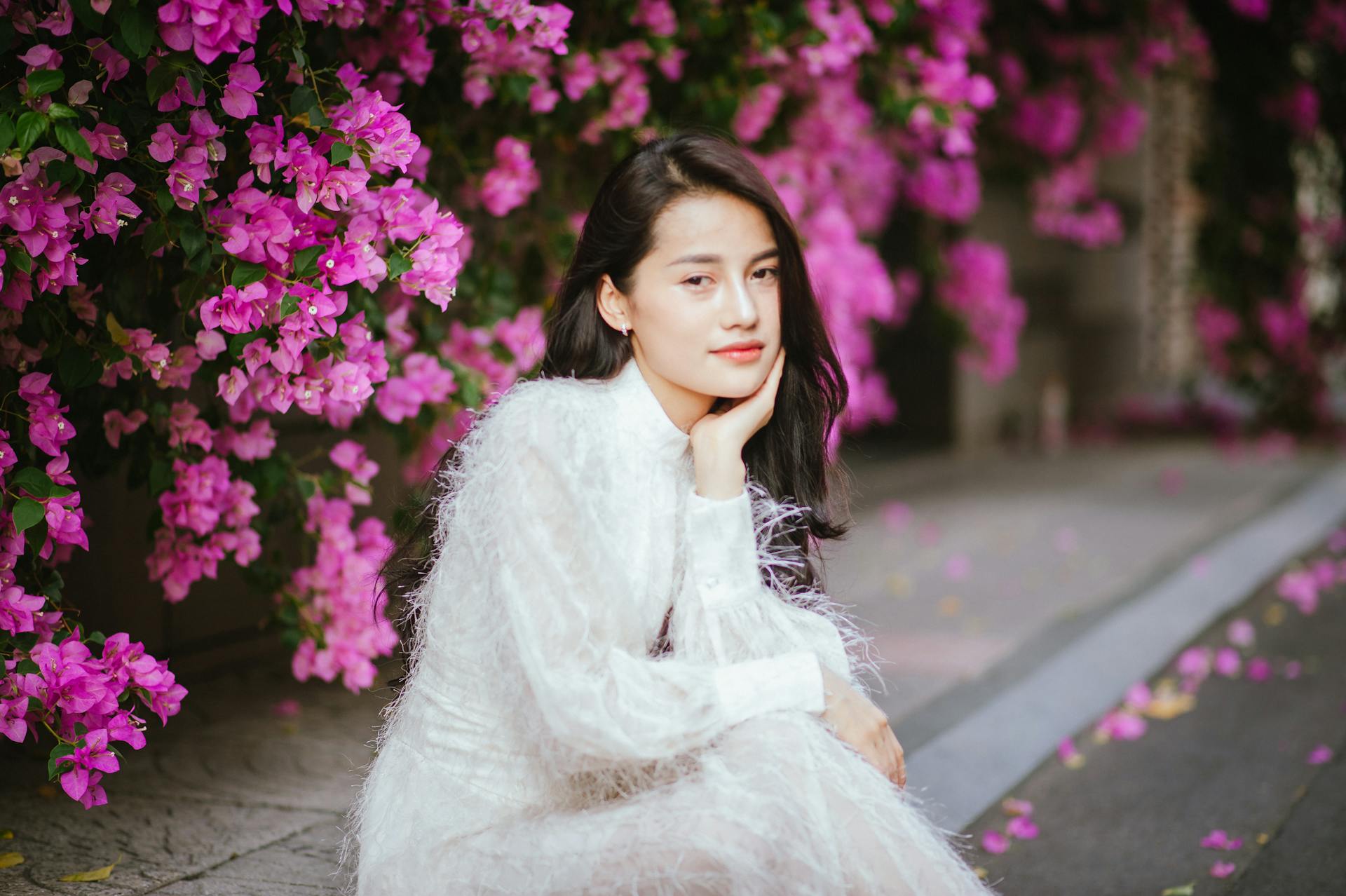 Free stock photo of hoa giấy, portrait, vietnam