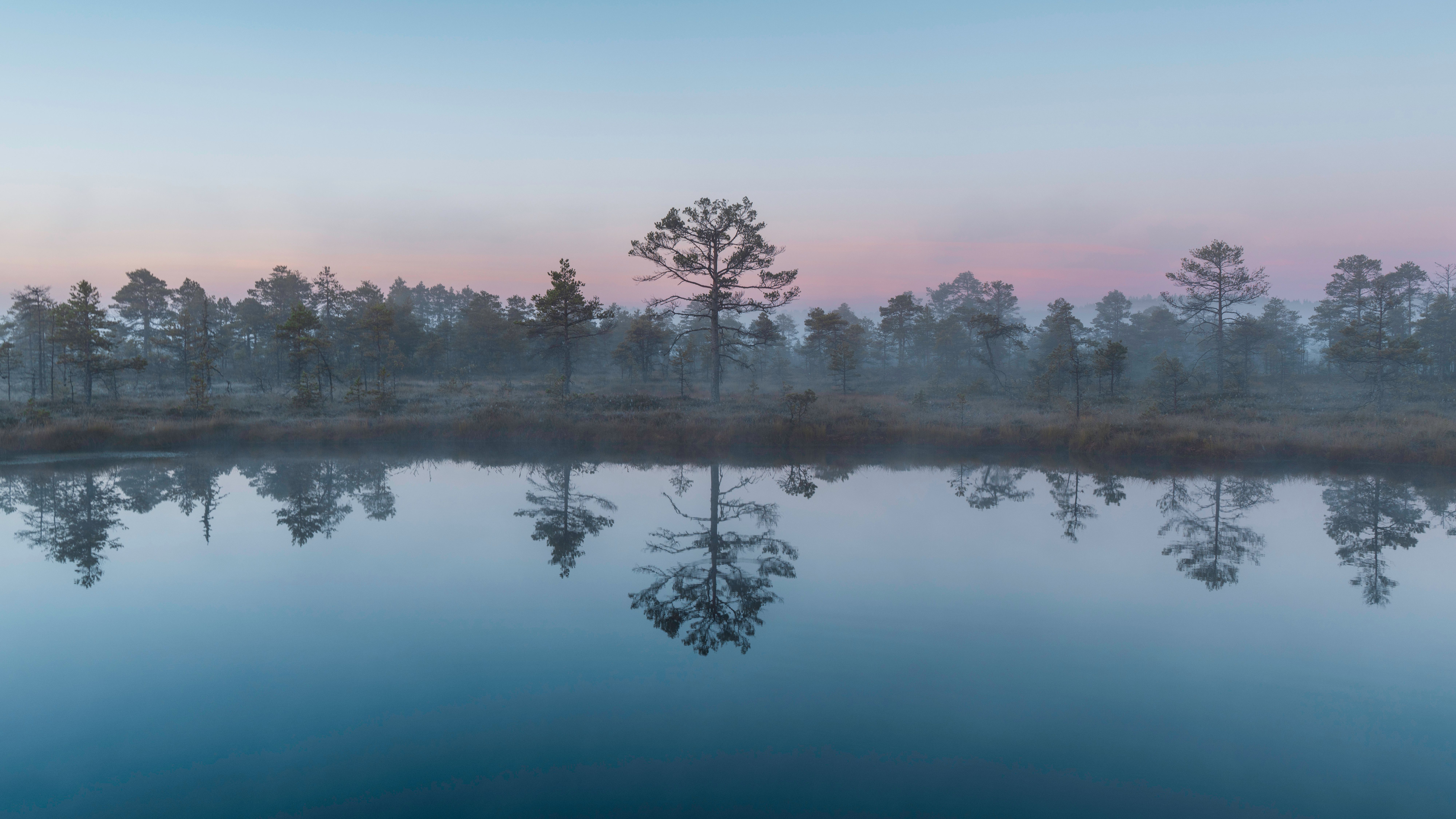 Boardwalk crossing a misty bog pool in a national park in Estonia