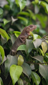 A detailed macro shot of a colorful lizard blending in with green leaves, showcasing wildlife adaptation.