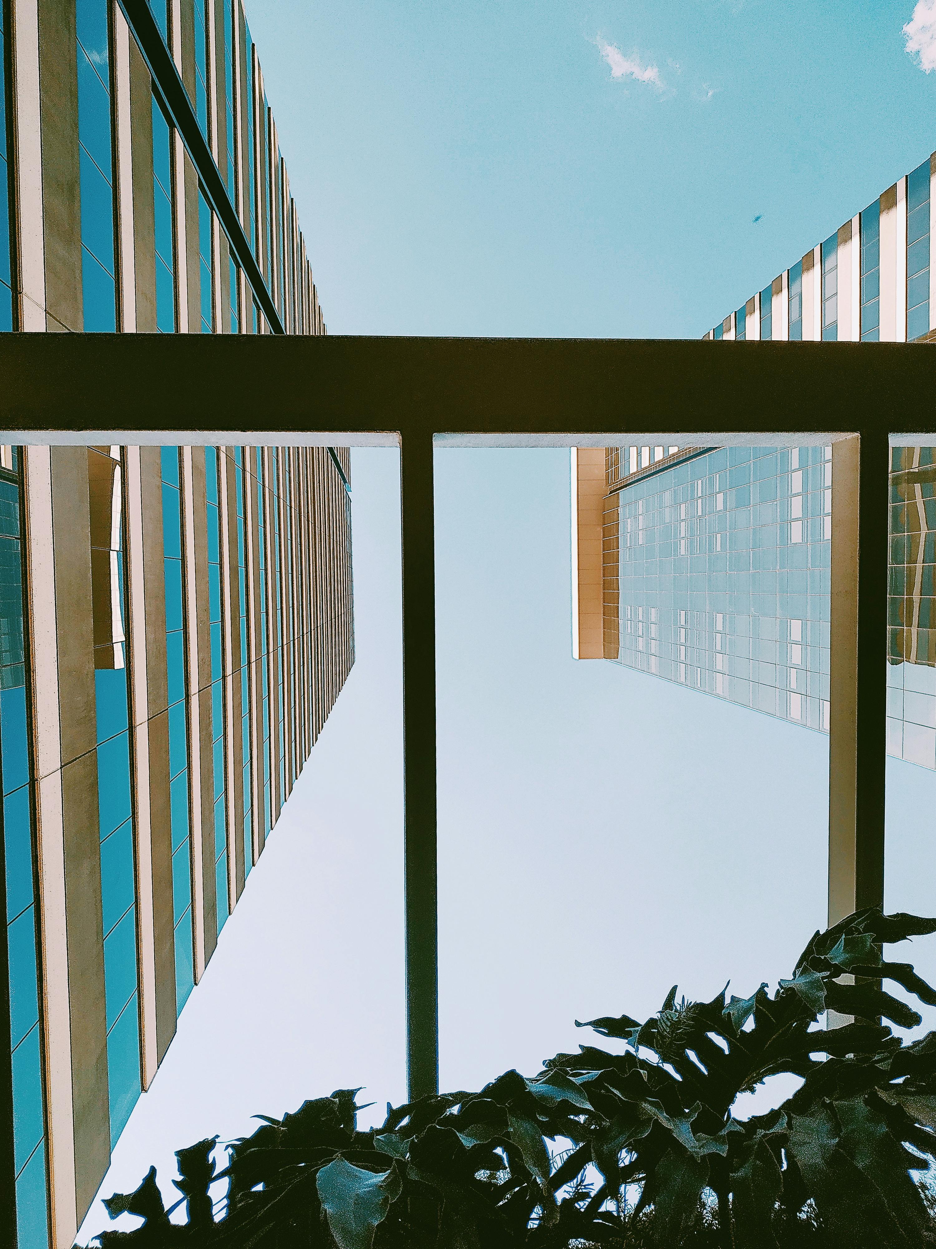 晴朗的蓝天下，迷人的现代摩天大楼与钢梁呈现出低角度的景观