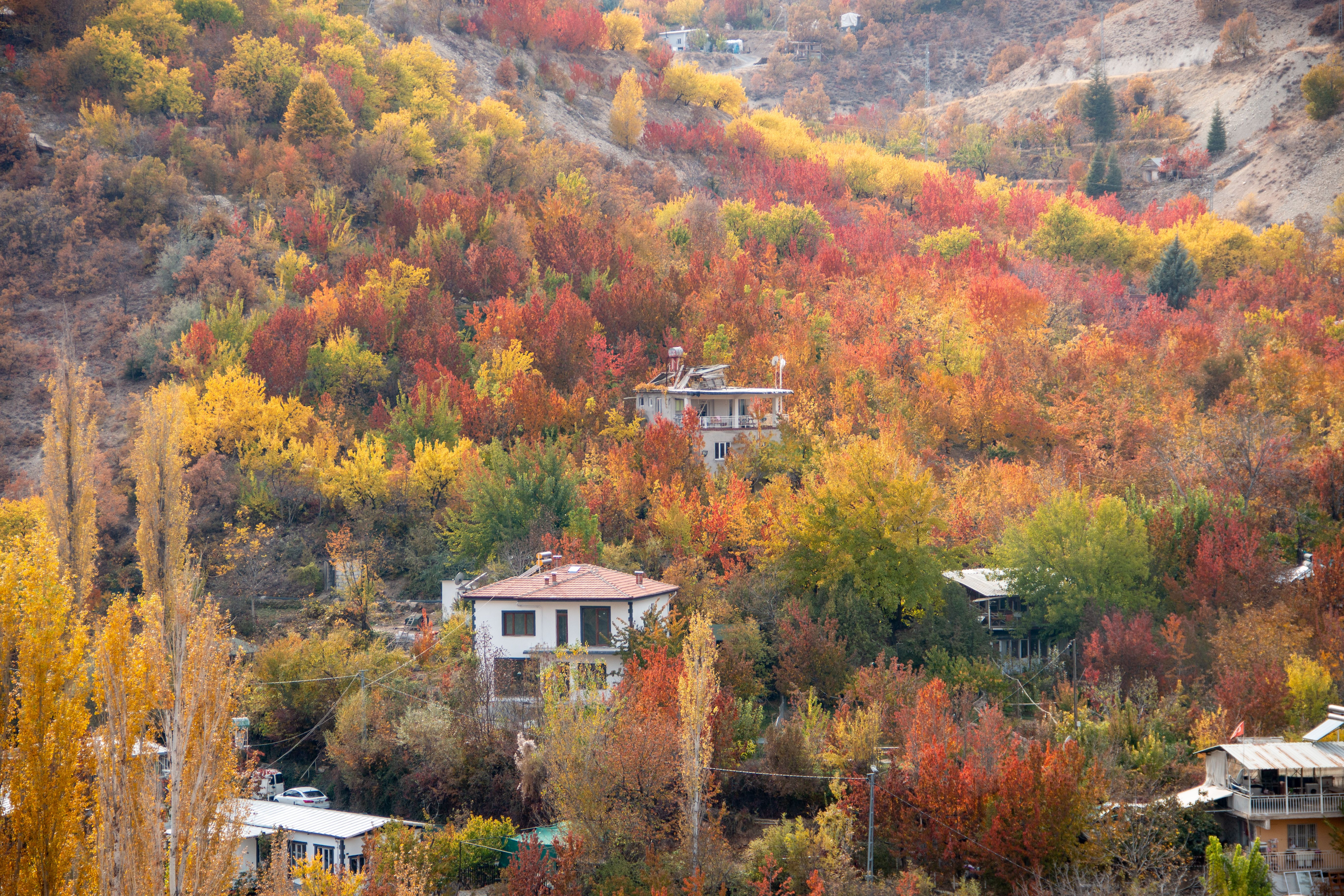 Scenic Turkish Autumn Village Landscape · Free Stock Photo