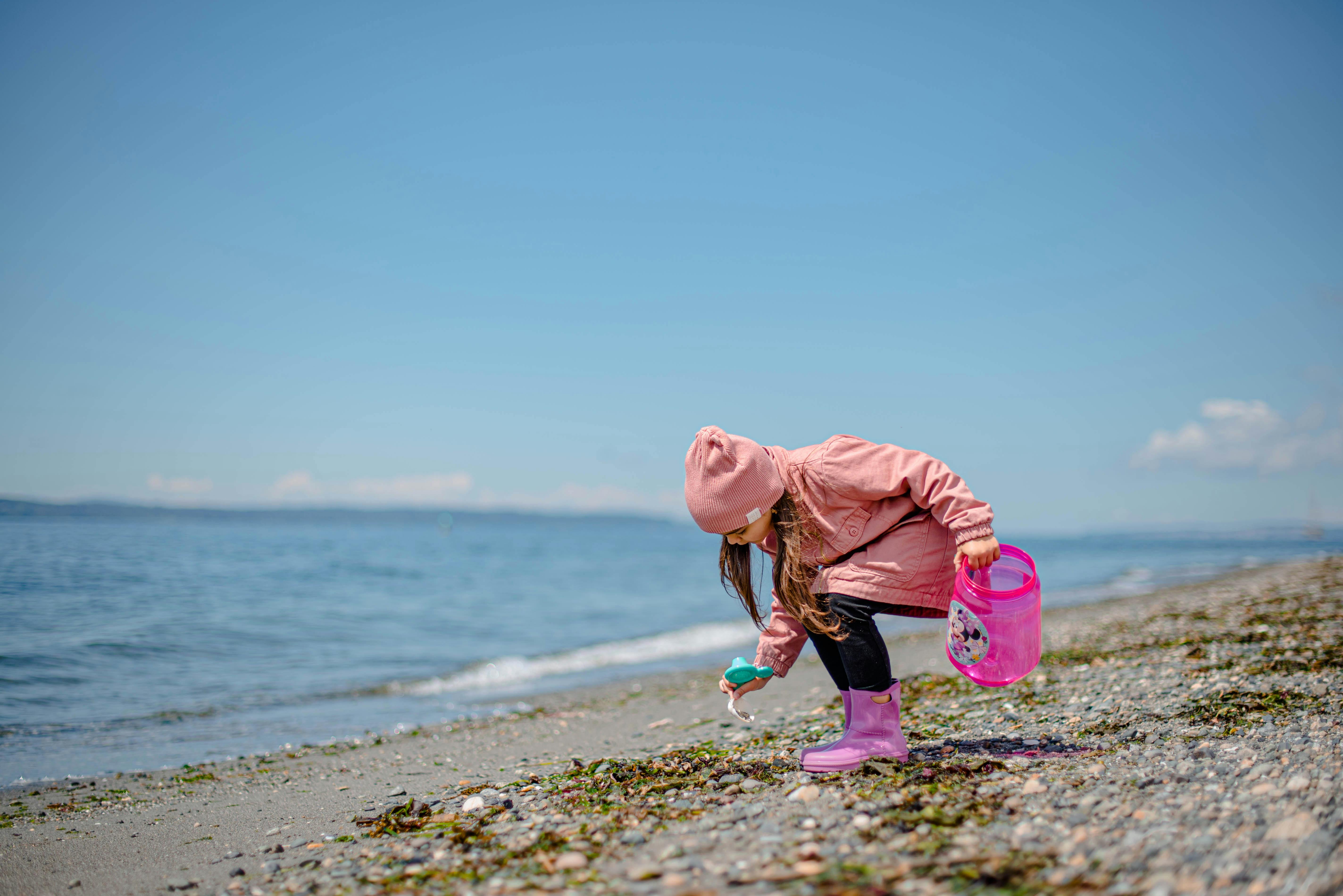 toddler collecting shells rocks beach bucket