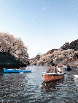 在东京千代田的樱花下，享受宁静的乘船之旅