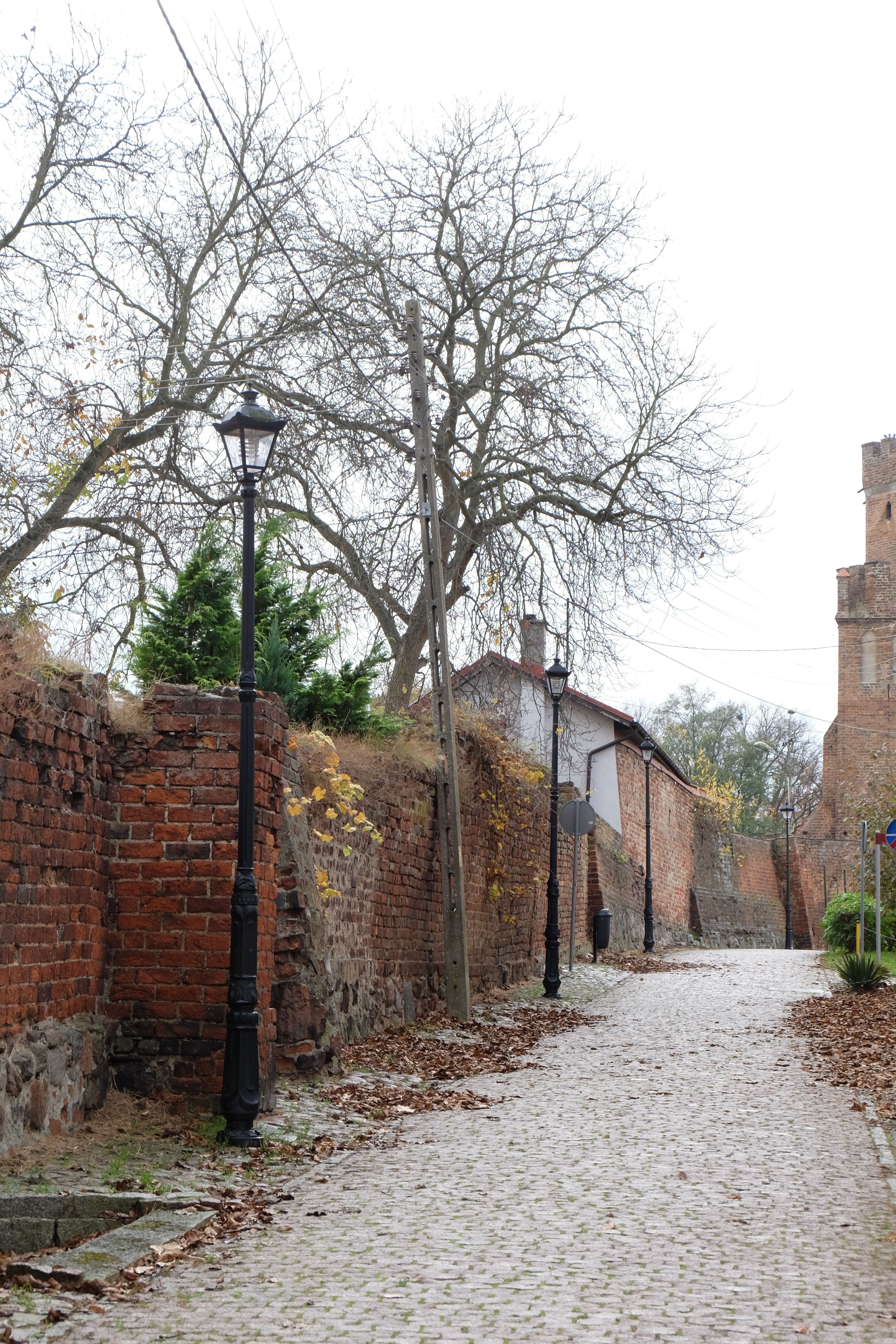 Continuous brick-paved side path running alongside garden walls