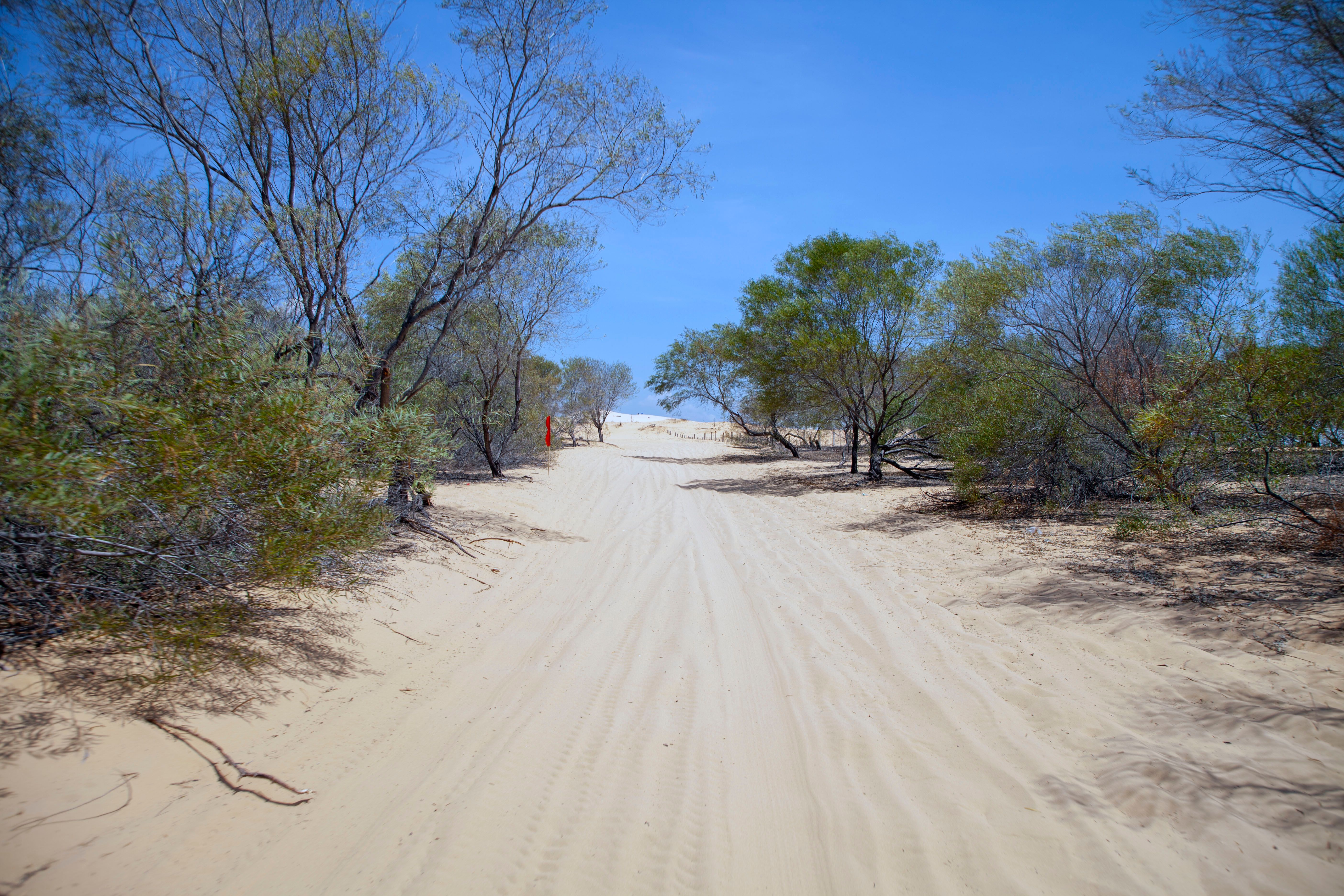 Tranquil Sandy Path in Desert Scene · Free Stock Photo