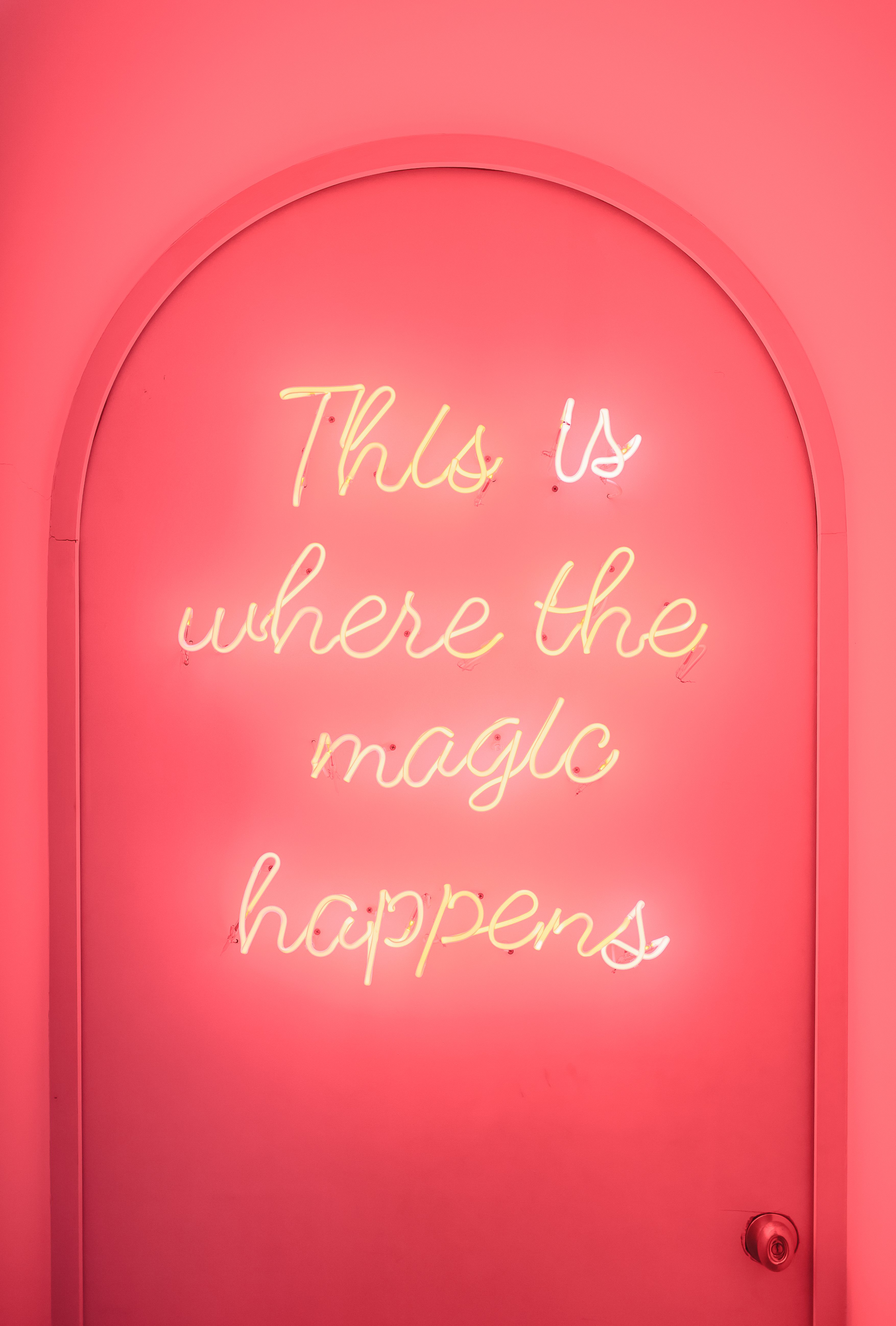 Embrace the Unexpected: That's Where the Magic Happens