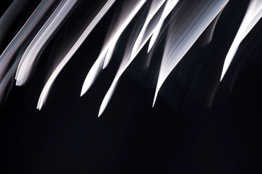 Abstract motion capture of light streaks with dynamic flow on a dark background.