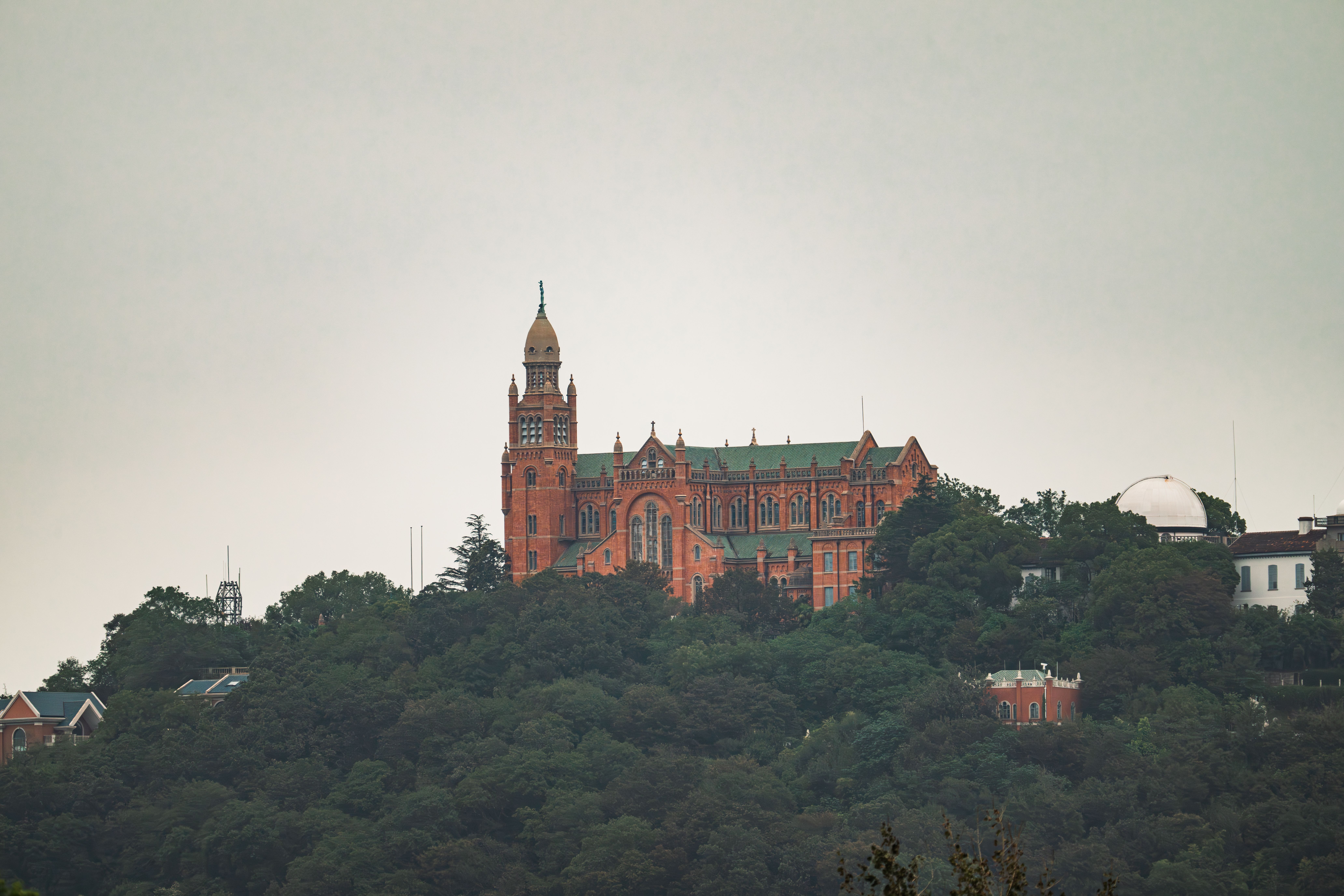 Wuhan Cherry Blossom — Wuhan University Luojia Hill (武汉大学珞珈山)