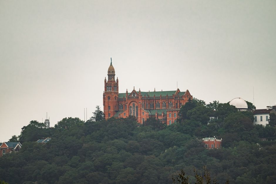 Wuhan Cherry Blossom — Wuhan University Luojia Hill (武汉大学珞珈山)