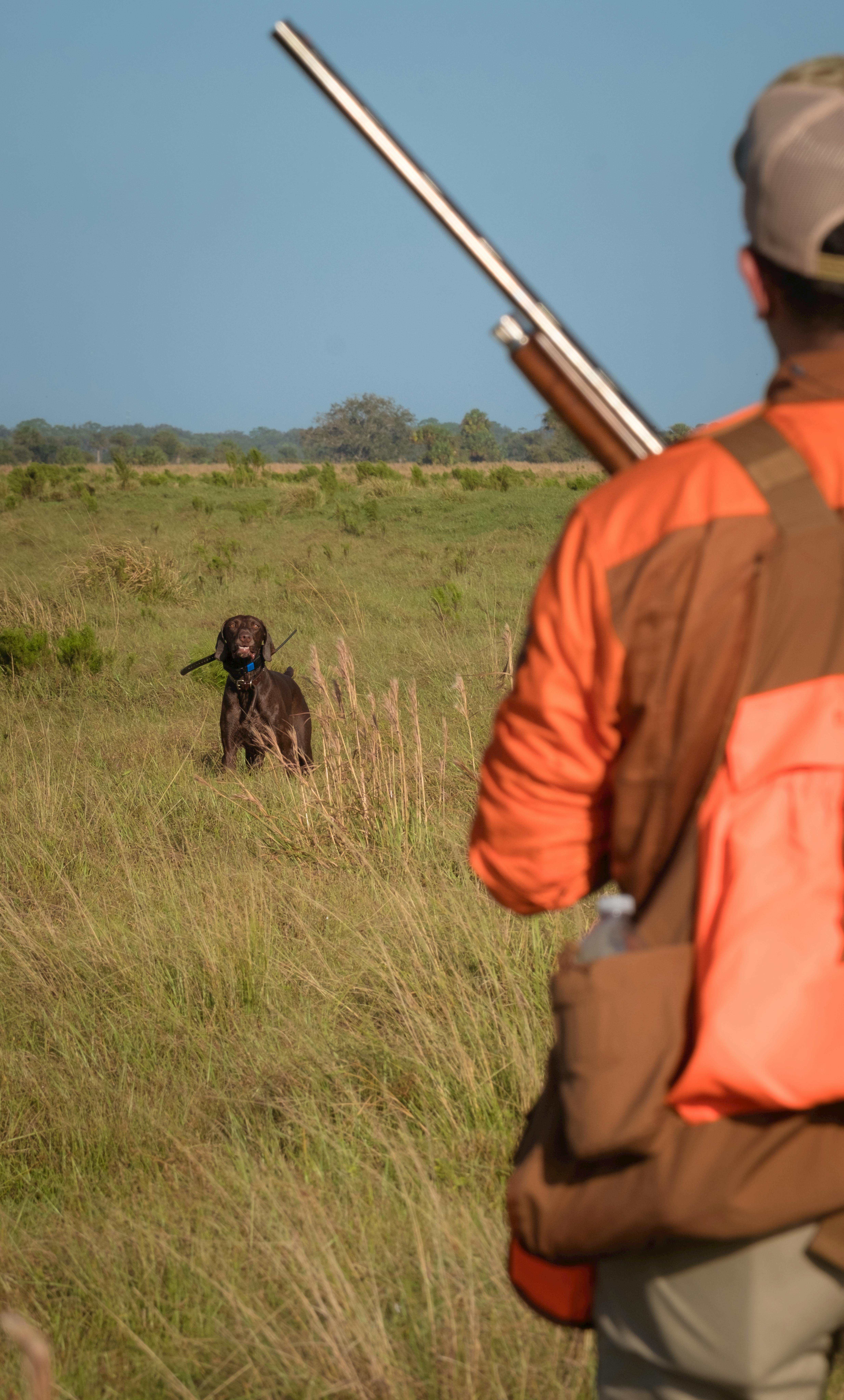 Hunting Game Adventuring