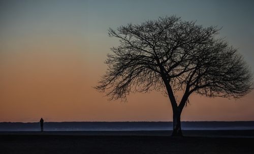 Free A tranquil sunrise scene with a lone tree and person at Cove Island Park in Stamford, Connecticut. Stock Photo