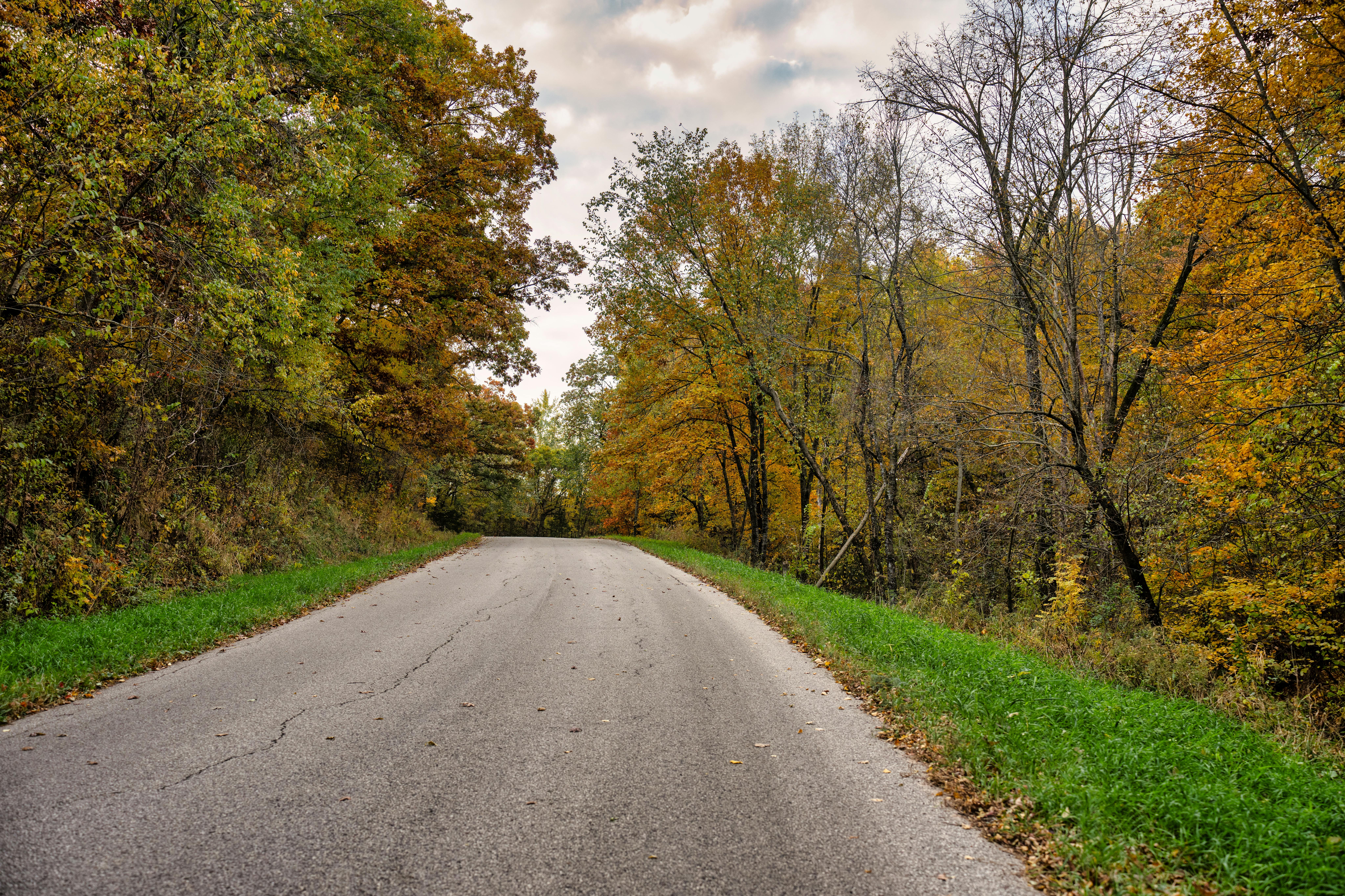 Opportunity to review Ohio’s Plan for K-12 Mathematics — Photo by Tom Fisk on Pexels