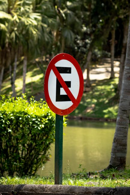 No parking sign with a red circle and slash in a green park by a pond.
