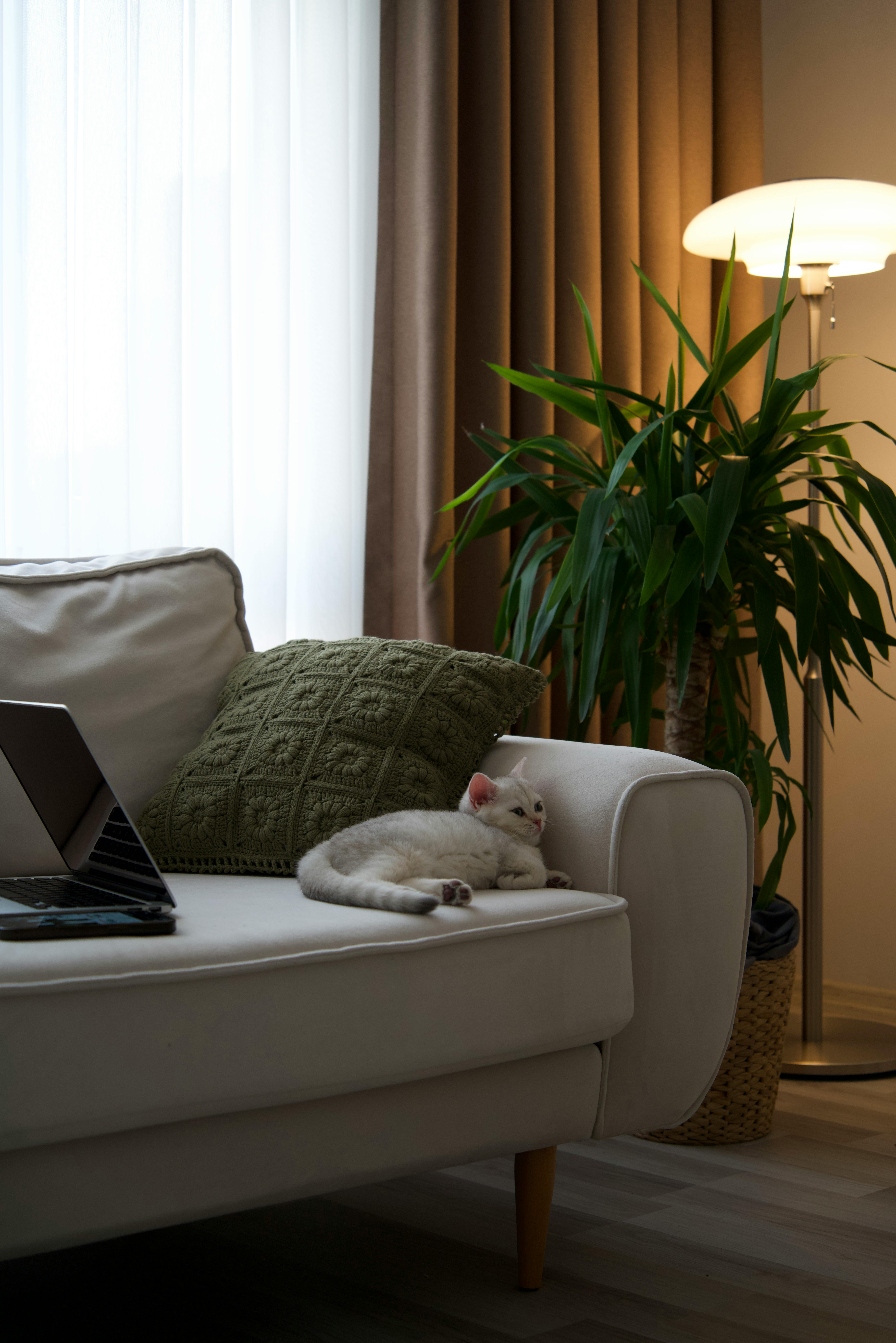 Layer lighting in the living room