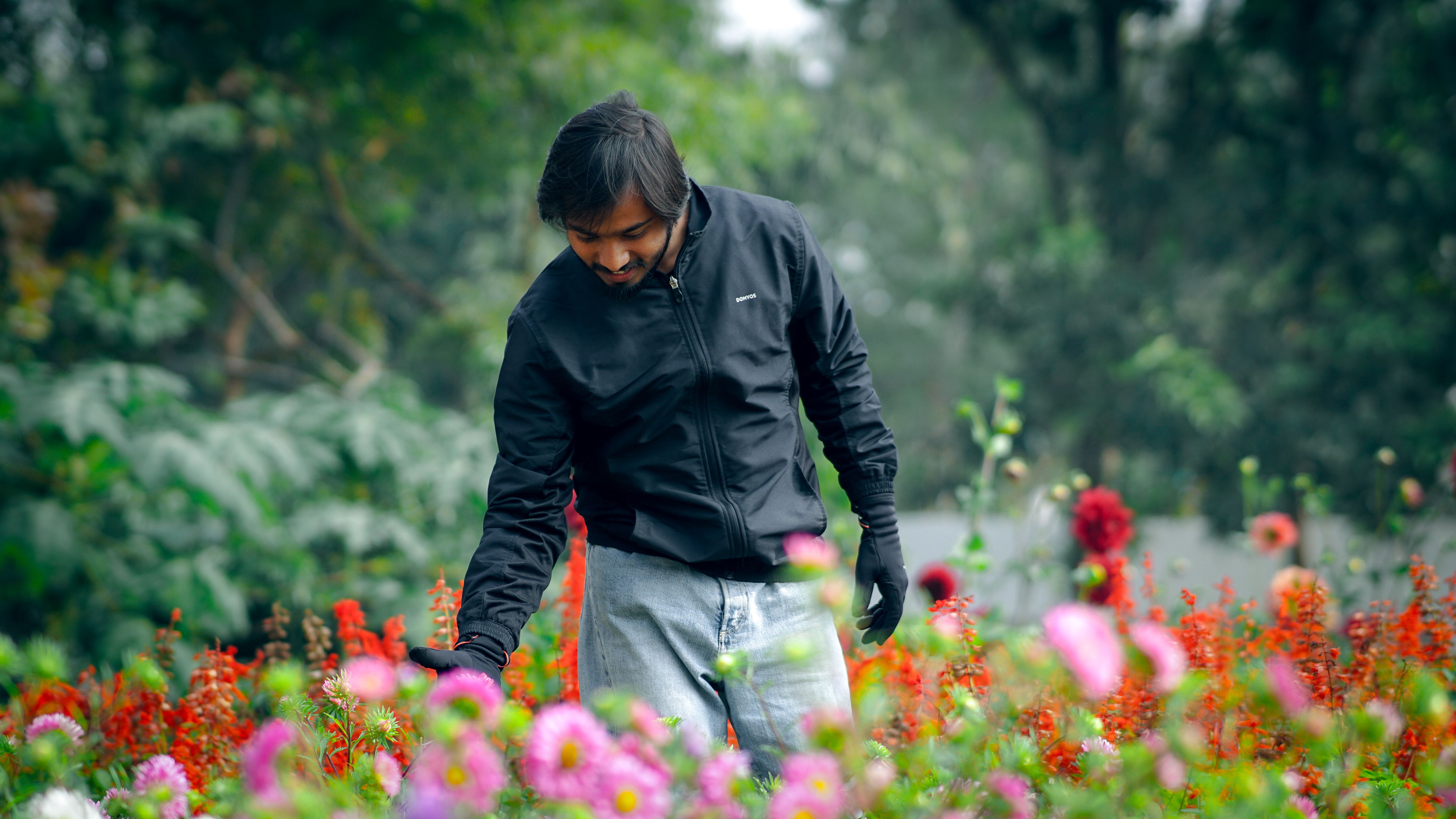 Man Tending Colorful Blossoms in Garden · Free Stock Photo
