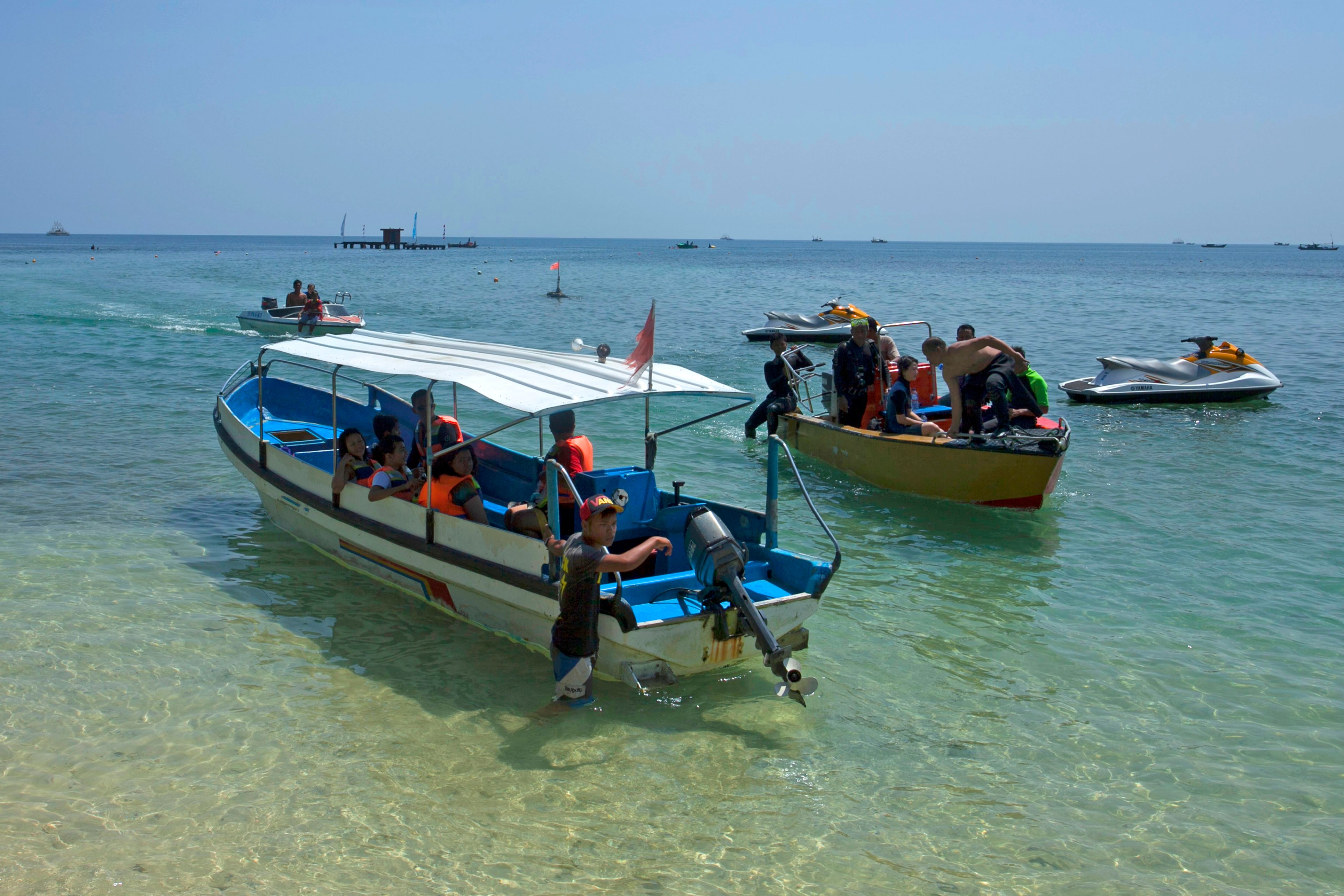 Dolphin Glass Bottom Boat activity