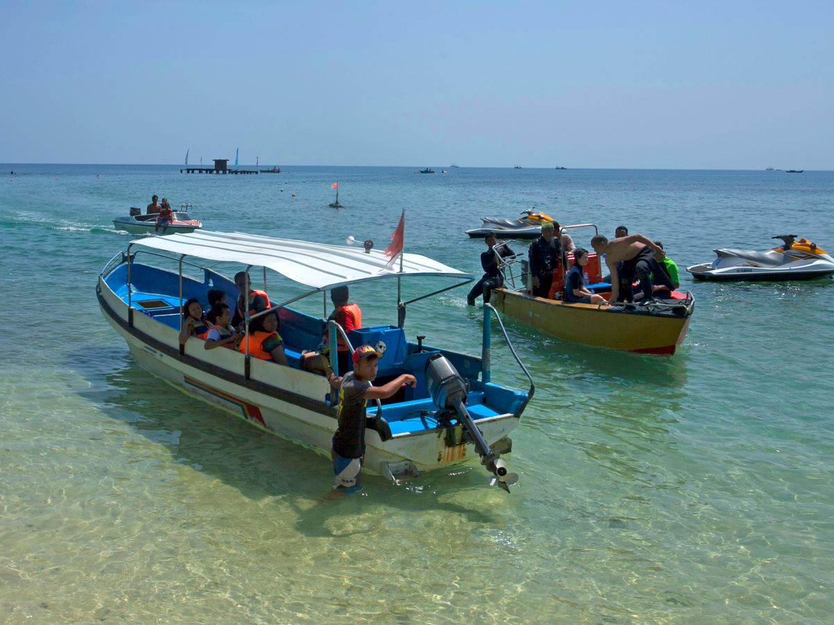 Dolphin Glass Bottom Boat activity