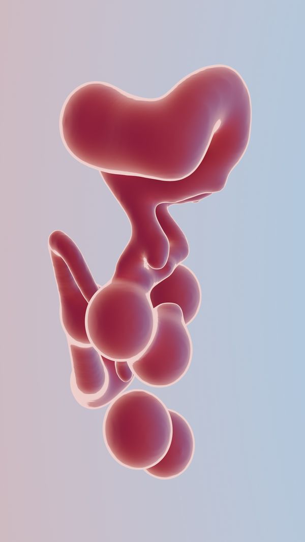 Soft organic 3D form, render by Steve A Johnson on Pexels