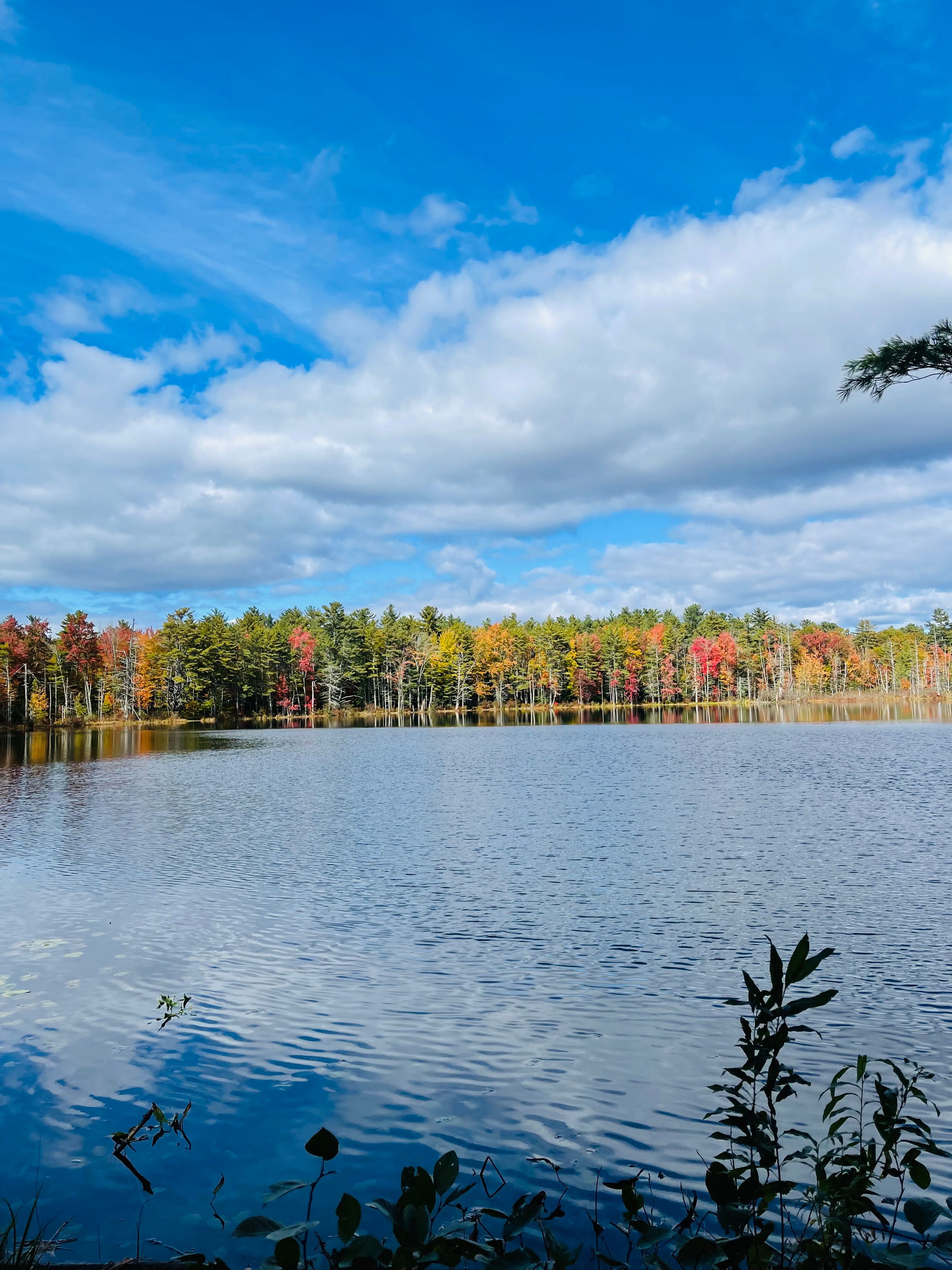Scenic Lake with Autumn Forest Reflection · Free Stock Photo