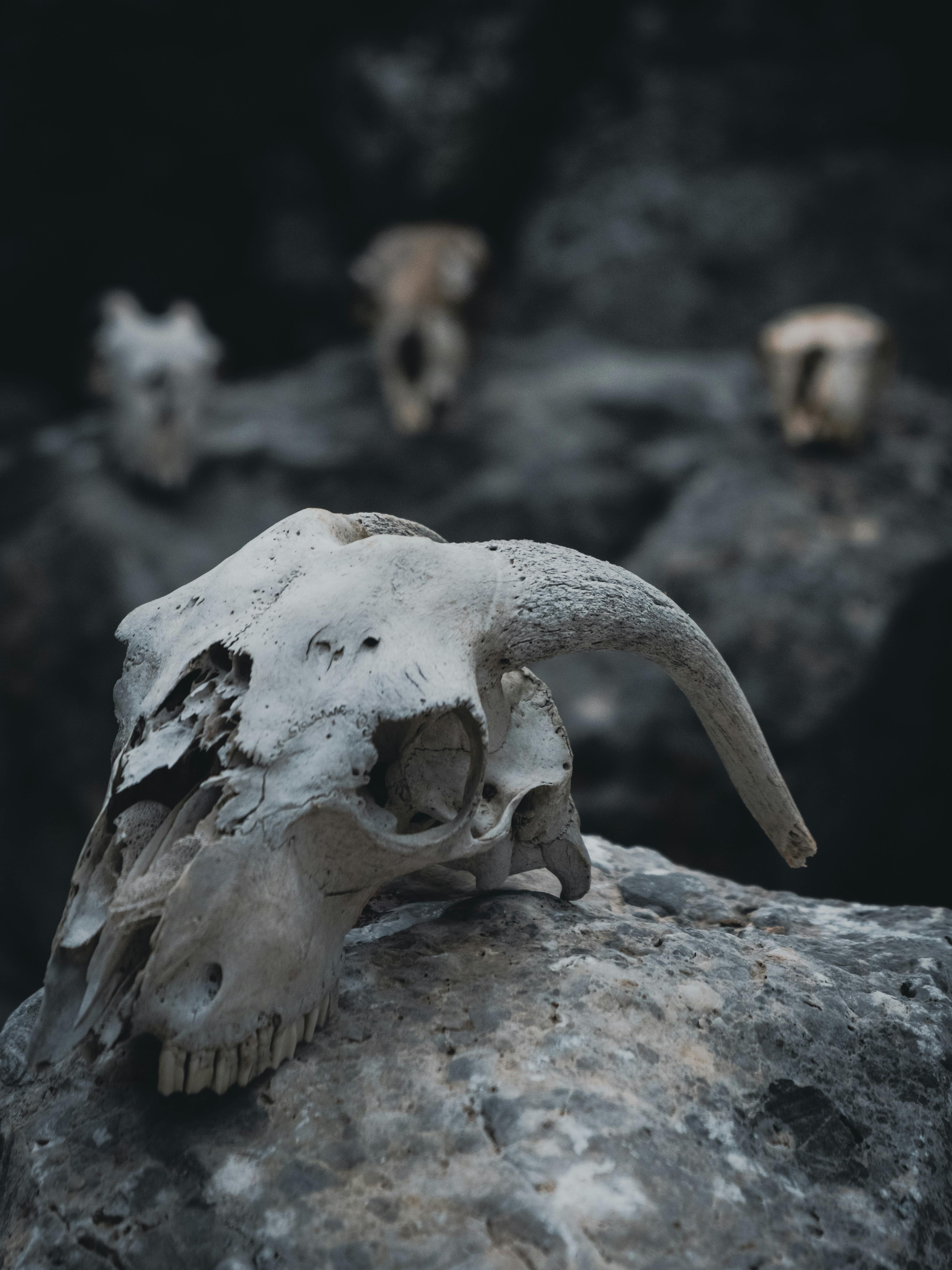 Drumeții tematice: literatură, istorie, natură