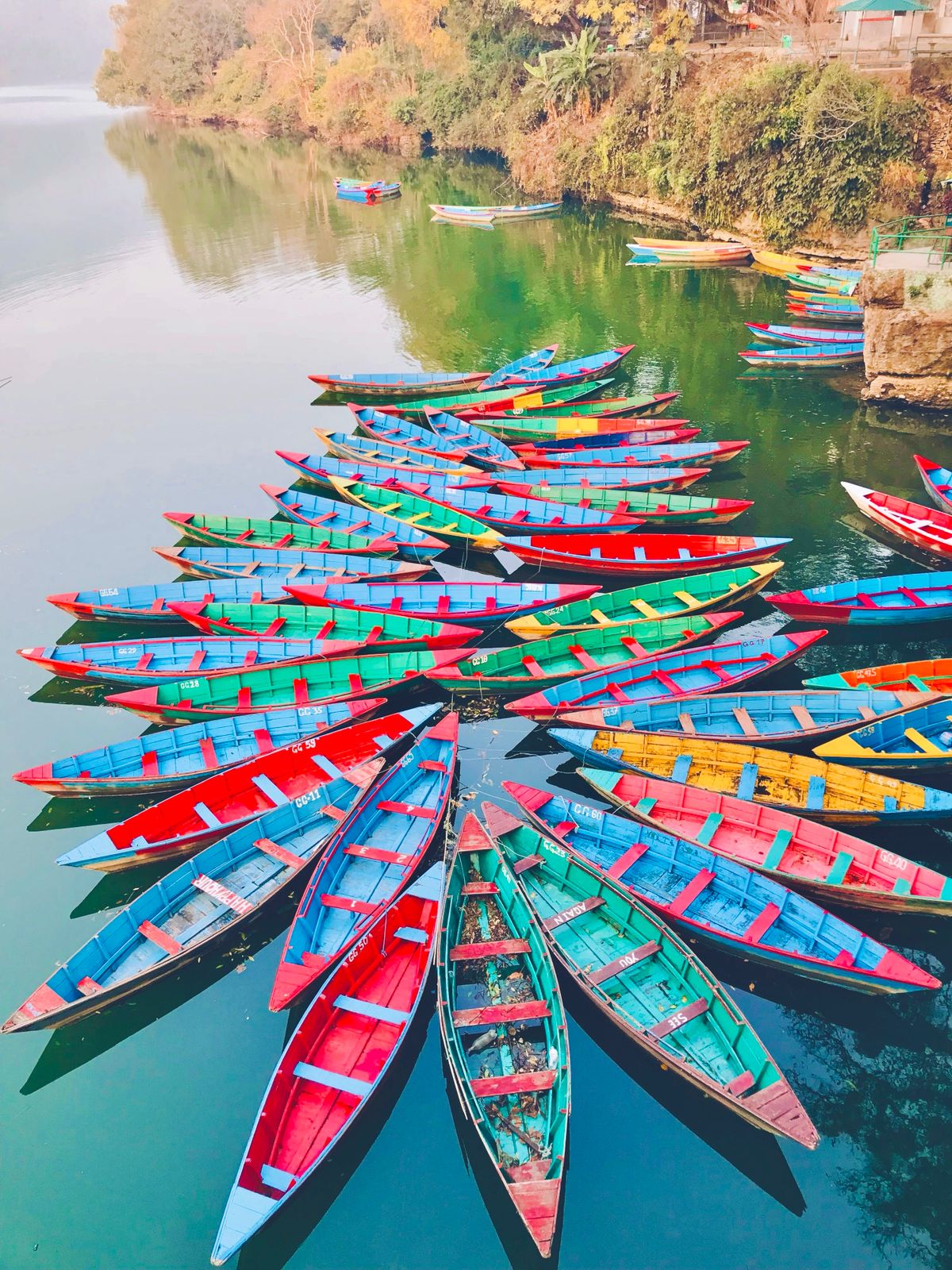 Brightly painted wooden boats moored on Phewa Lake, Pokhara