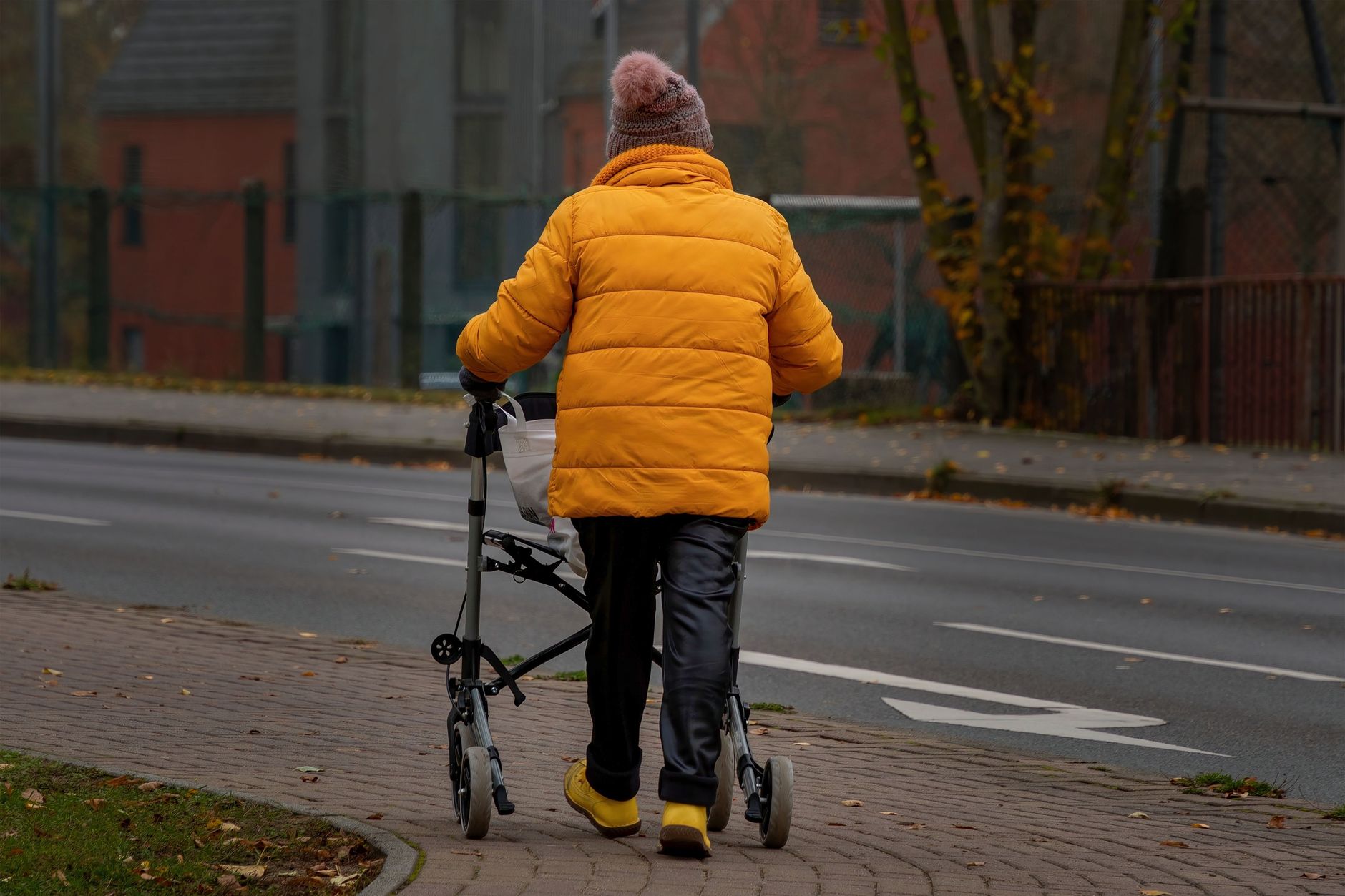 Best Walking Pads 2026