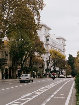 A beautiful street scene during autumn showcasing classic architecture, lined with trees and light traffic.
