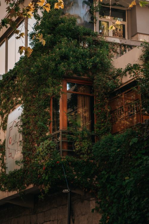Urban Building with Lush Greenery and Rustic Charm · Free Stock Photo