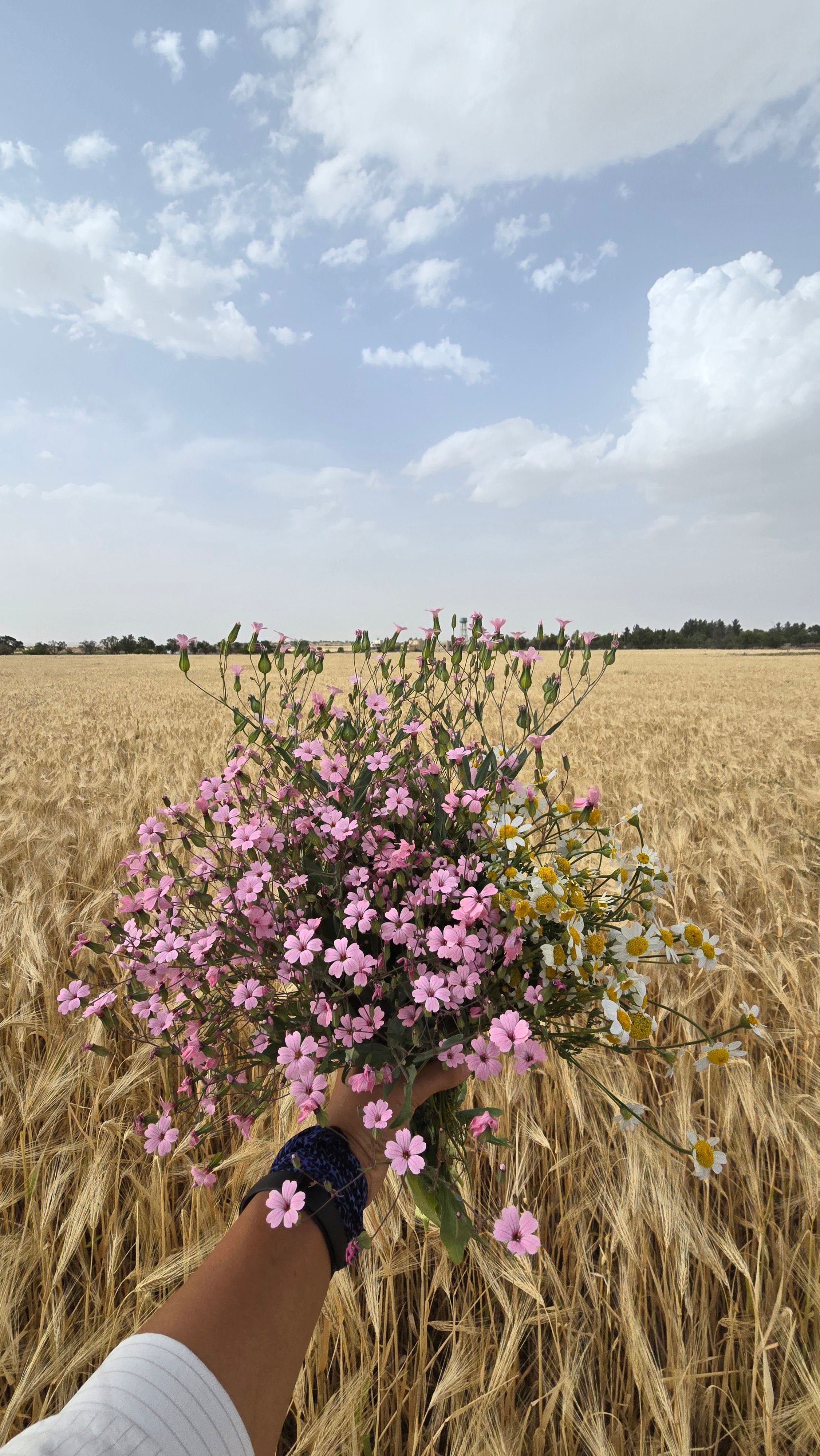 A colorful bouquet of wildflowers held up against a vast, golden wheat field under a bright sky.