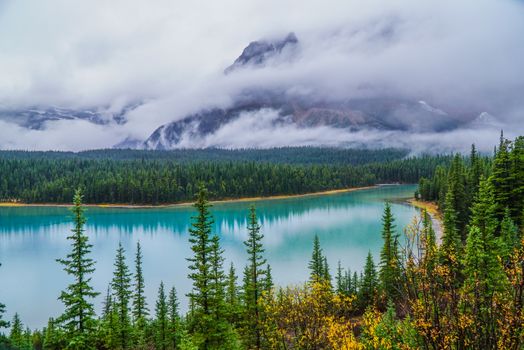 Tranquil view of a misty lake in Banff National Park with lush trees and mountain backdrop.