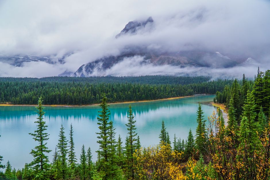 Majestic view of Lake Louise in Banff National Park, Canada