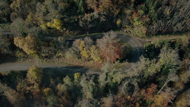 A winding road through an autumn forest in Kintzheim, Grand Est, France captured from above.