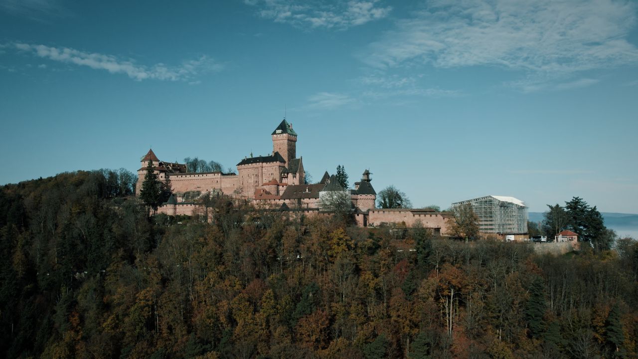 aerial shot of haut koenigsbourg castle amidst a vibrant autumn forest