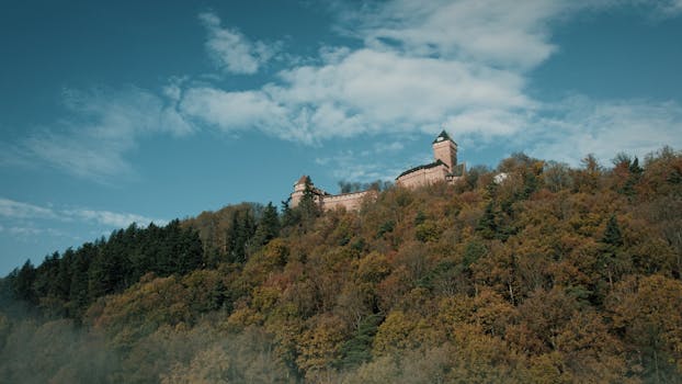 Aerial view of Haut-Koenigsbourg Castle amidst a vibrant autumn forest in Kintzheim, France.