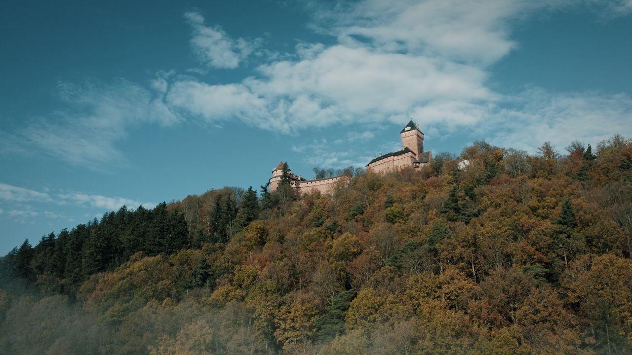 aerial view of haut koenigsbourg castle amidst a vibrant autumn forest