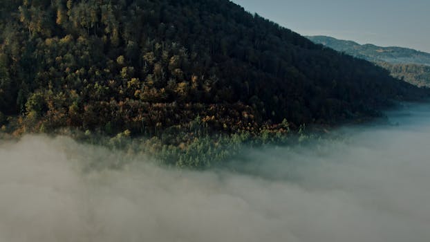 Captivating aerial view of a misty forest in Kintzheim, France during autumn.