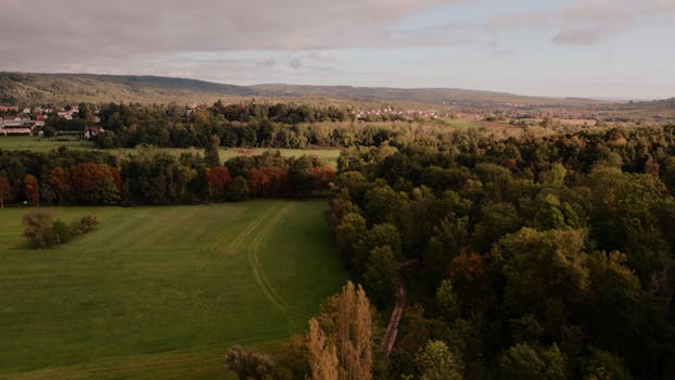 Captivating aerial view of a lush forest landscape in Grand Est, France, showcasing vivid greenery and serene natural beauty.