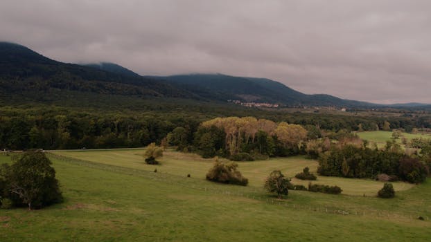 Aerial view of lush green countryside in Grand Est, France, under a cloudy sky.