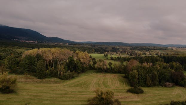Aerial landscape of lush greenery and forested area in Grand Est, France under cloudy skies.