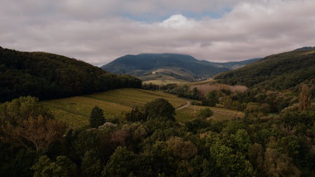 Aerial shot over lush green hills and valleys in Grand Est, showcasing natural beauty.