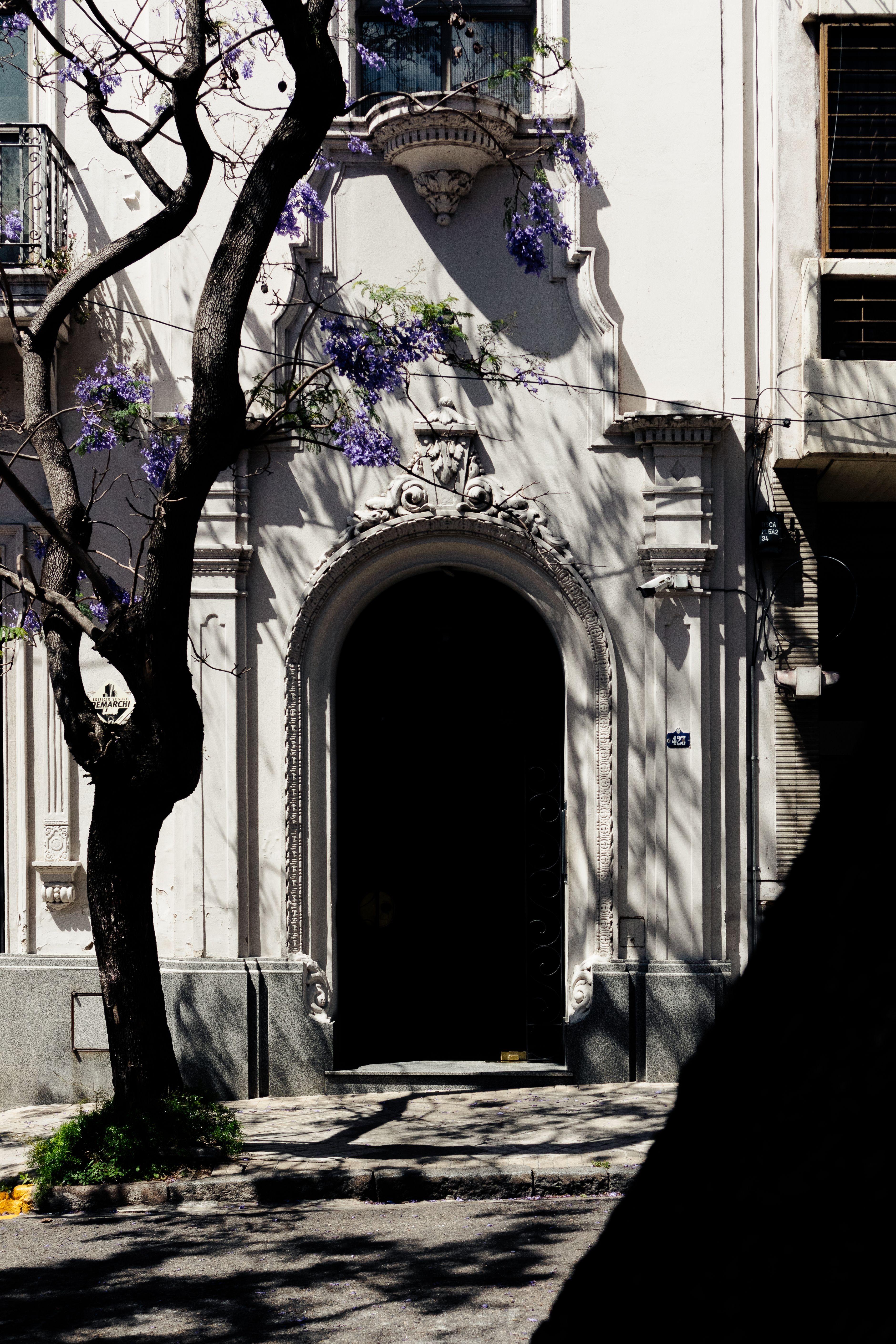 Elegant architectural doorway with intricate design and tree shadows in Rosario, Argentina.